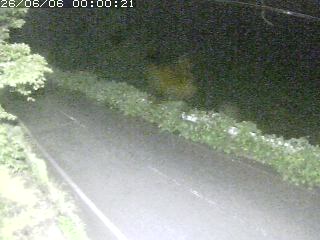青谷町絹見
