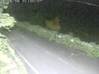 青谷町絹見