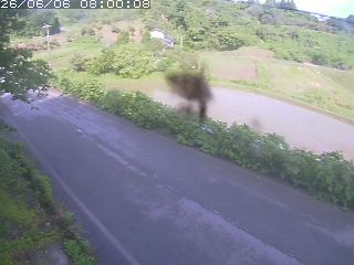 青谷町絹見