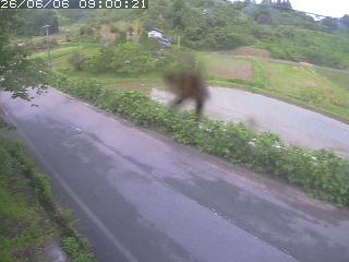 青谷町絹見