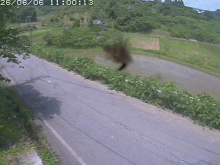 青谷町絹見