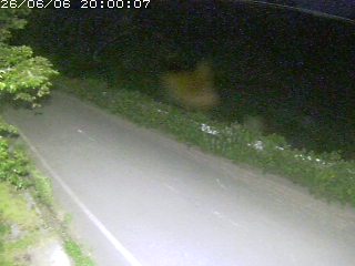 青谷町絹見