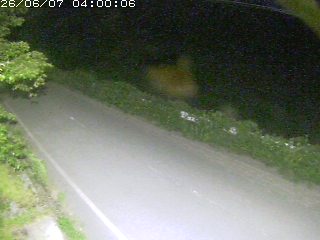 青谷町絹見