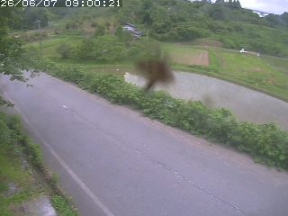 青谷町絹見