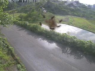 青谷町絹見