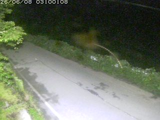 青谷町絹見
