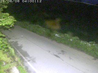 青谷町絹見