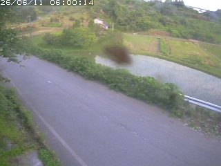 青谷町絹見