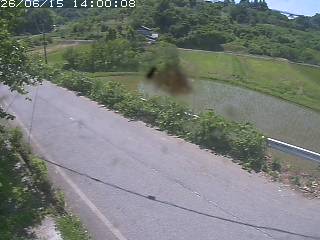 青谷町絹見