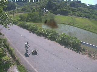 青谷町絹見