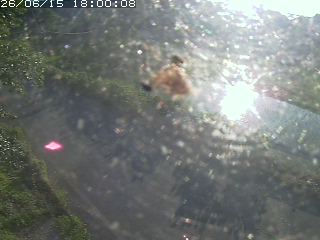 青谷町絹見