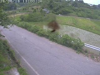 青谷町絹見