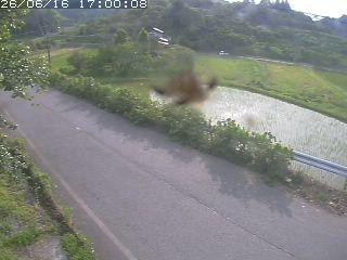 青谷町絹見