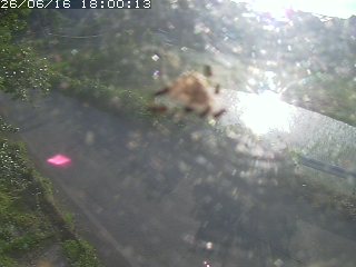 青谷町絹見
