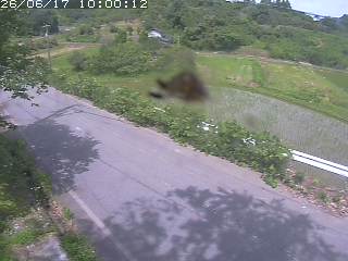 青谷町絹見