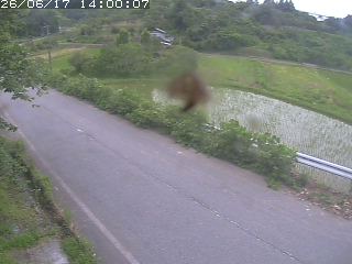 青谷町絹見