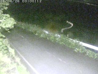 青谷町絹見