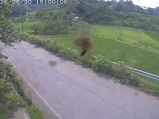 青谷町絹見