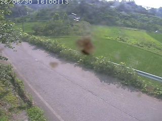 青谷町絹見