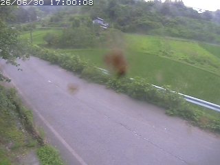 青谷町絹見