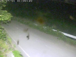 青谷町絹見