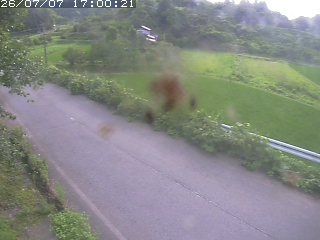 青谷町絹見
