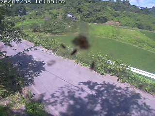 青谷町絹見