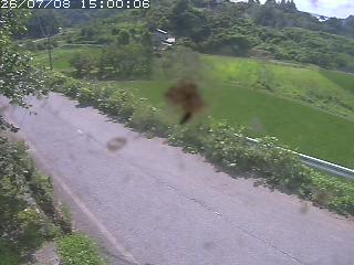 青谷町絹見