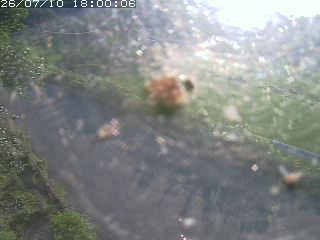 青谷町絹見
