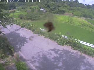 青谷町絹見
