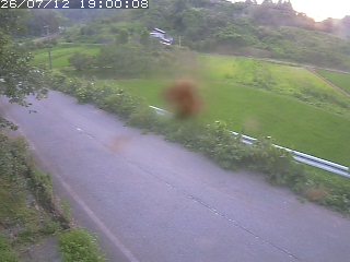 青谷町絹見