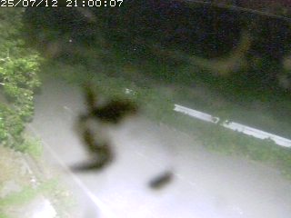 青谷町絹見