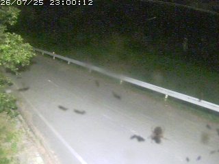 青谷町絹見