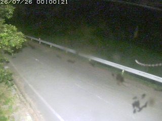 青谷町絹見
