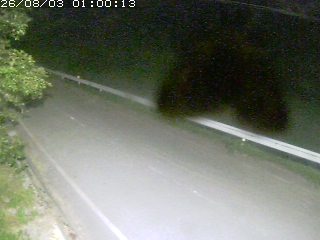 青谷町絹見