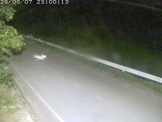 青谷町絹見