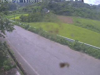 青谷町絹見