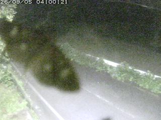 青谷町絹見