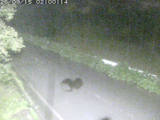 青谷町絹見