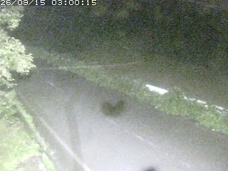 青谷町絹見
