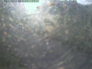 青谷町絹見