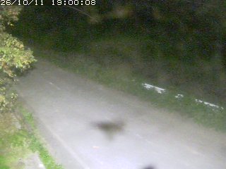 青谷町絹見