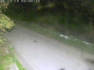 青谷町絹見