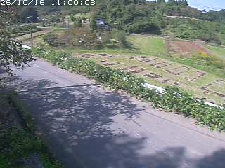 青谷町絹見