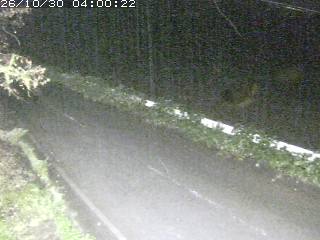 青谷町絹見