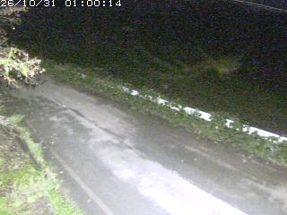 青谷町絹見