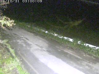 青谷町絹見