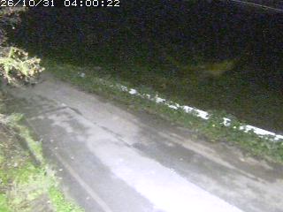青谷町絹見