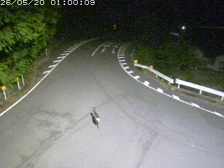 智頭町西谷