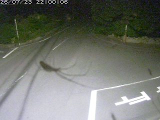 倉吉市鴨河内
